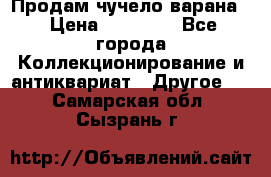 Продам чучело варана. › Цена ­ 15 000 - Все города Коллекционирование и антиквариат » Другое   . Самарская обл.,Сызрань г.